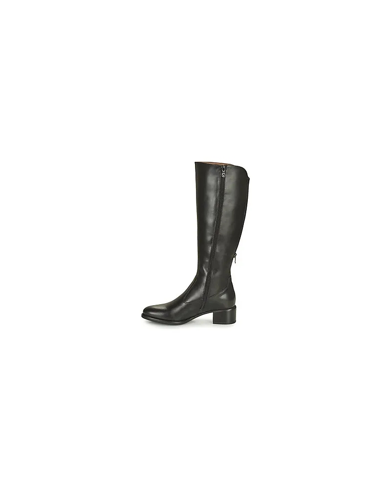 Bottes femmes NeroGiardini BRESCIA Noir