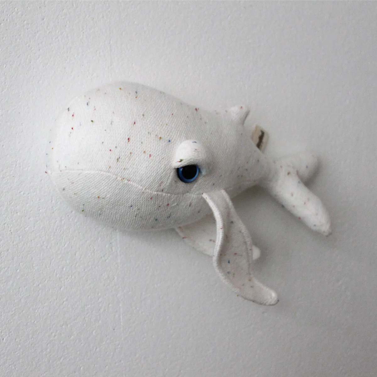 Mini Baleine Albinos