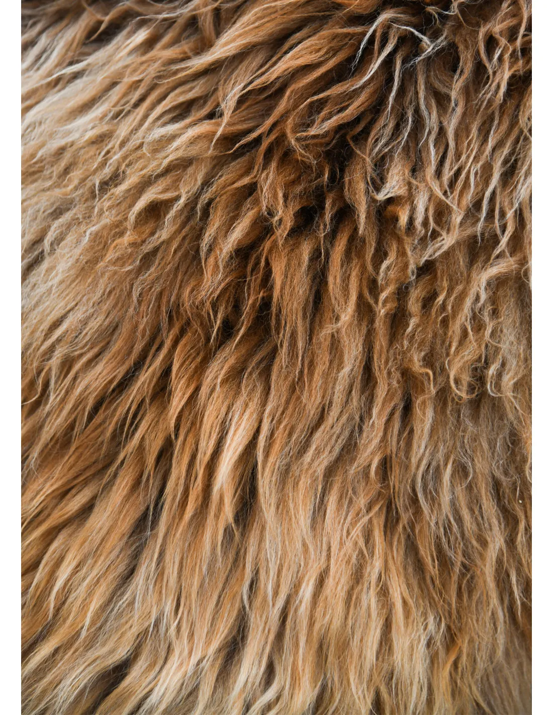 Peau de Berserker marron pour guerriers (130x60 cm.) ⚔️ Boutique Épées