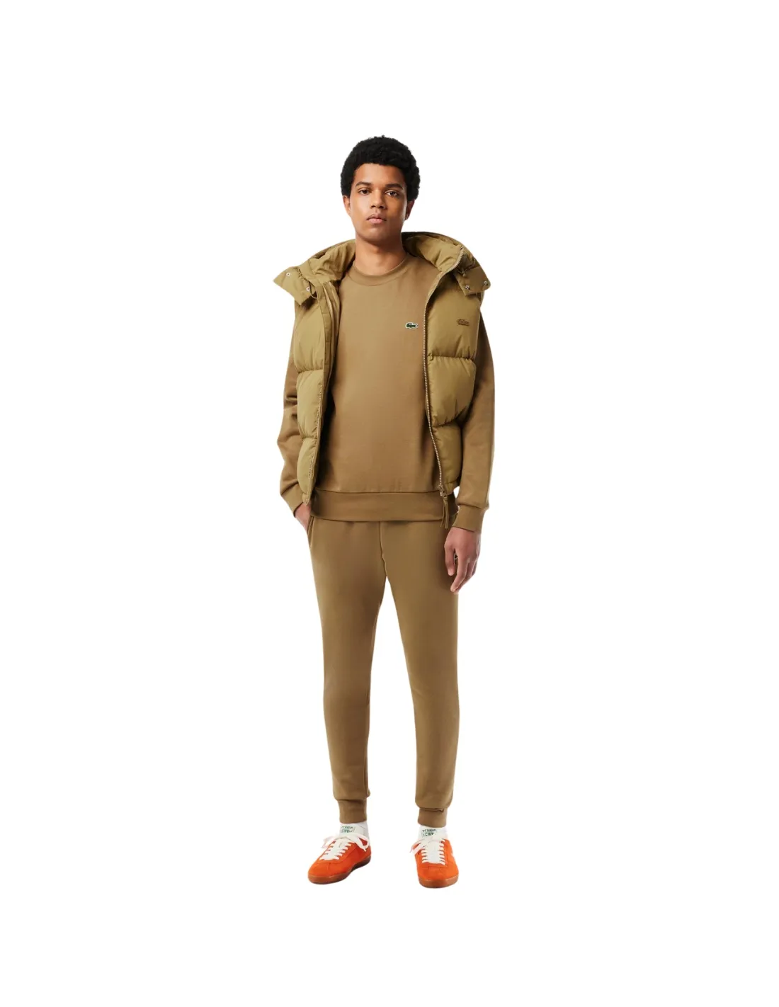 Pull homme Lacoste Ref 61116 SIX Cookie
