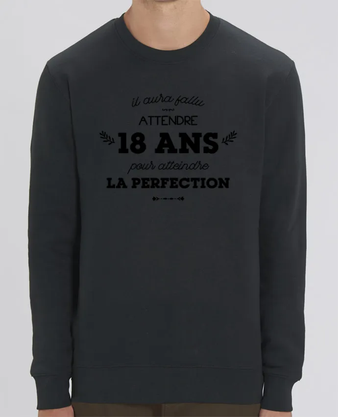 Sweat-shirt 18 ans perfection - Anniversaire Par tunetoo